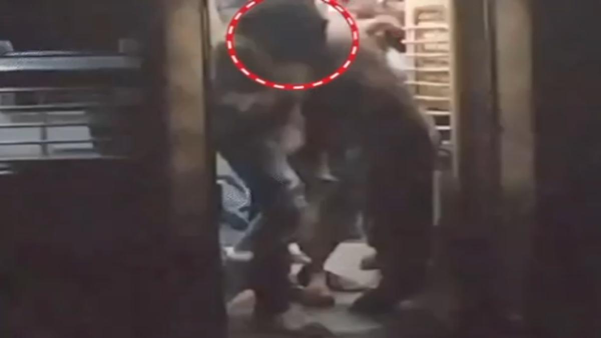 मर गई इंसानियत ! ट्रेन में यात्रियों ने युवक को पीटा, मन नहीं भरा तो… देखें VIDEO