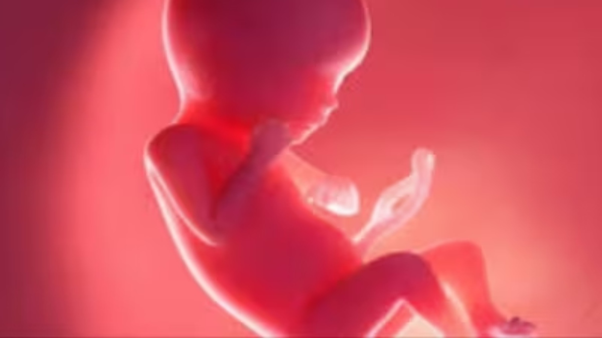 7 महीने के नवजात का फूलने लगा पेट, अस्पताल में चेकअप किया तो डॉक्टर बोले- यह प्रेग्नेंट है…