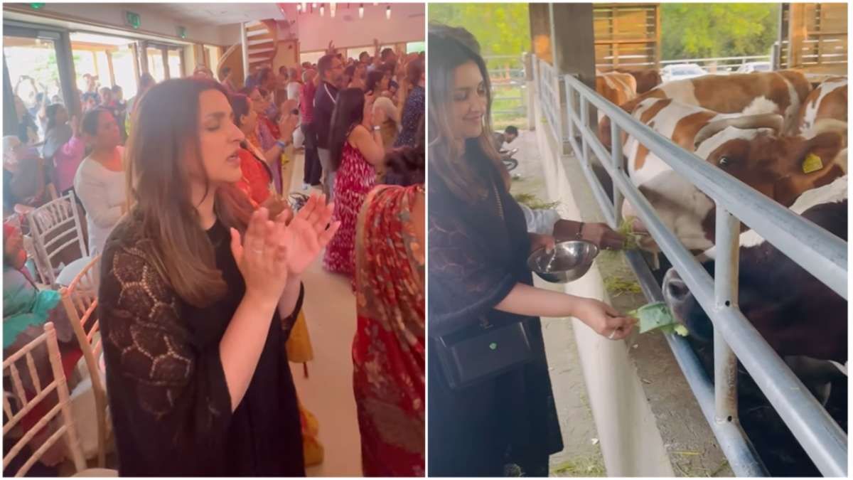 लंदन के Iskcon Temple पहुंचीं Parineeti Chopra, कृष्ण भक्ति में लीन होकर गाय को चारा खिलाती आईं नजर …