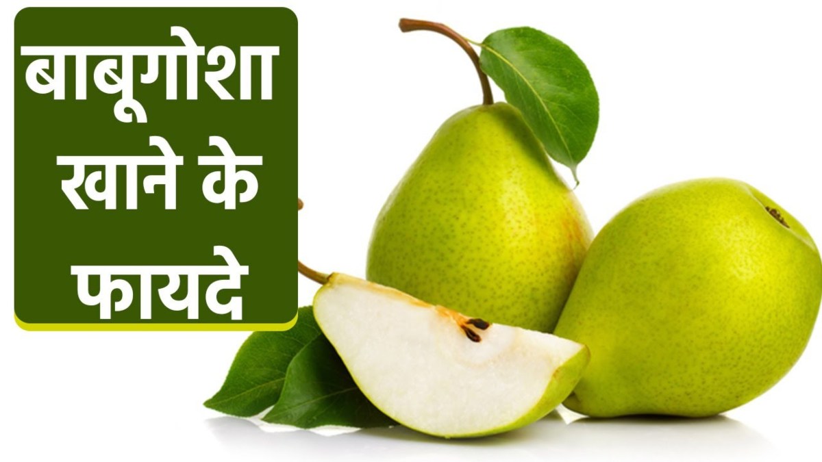 नाशपाती से मिलता जुलता है ये बाबूगोशा फल, अनगिनत फायदों के साथ स्वाद में भी होता है लाजवाब…