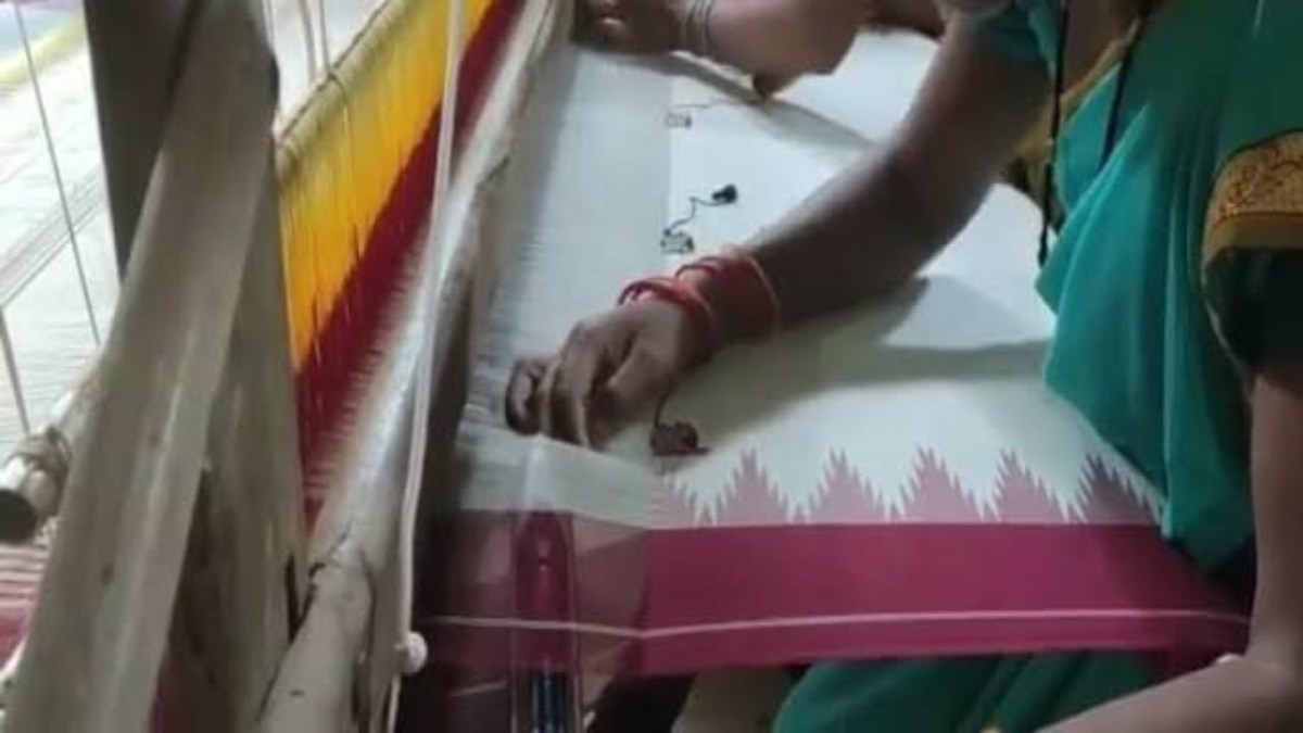 National Handloom Day : विदेश तक फैला हुआ है छत्तीसगढ़ के कोसा सिल्क का परचम, जानिए कैसे बनता है कोसा सिल्क …