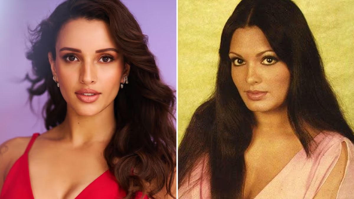 सिल्वर स्क्रीन पर Parveen Babi का किरदार निभाएंगी Tripti Dimri! बायोपिक की रेस सबसे आगे है नाम …