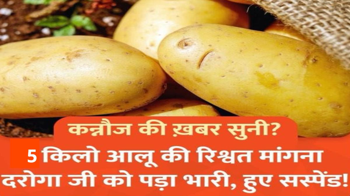 अब पैसा नहीं… रिश्वत में चलेगा आलू ! अखिलेश यादव ने कसा तंज, कहा- भाजपा राज में सच में सब्जी के रूप में मांगी जाएगी घूस