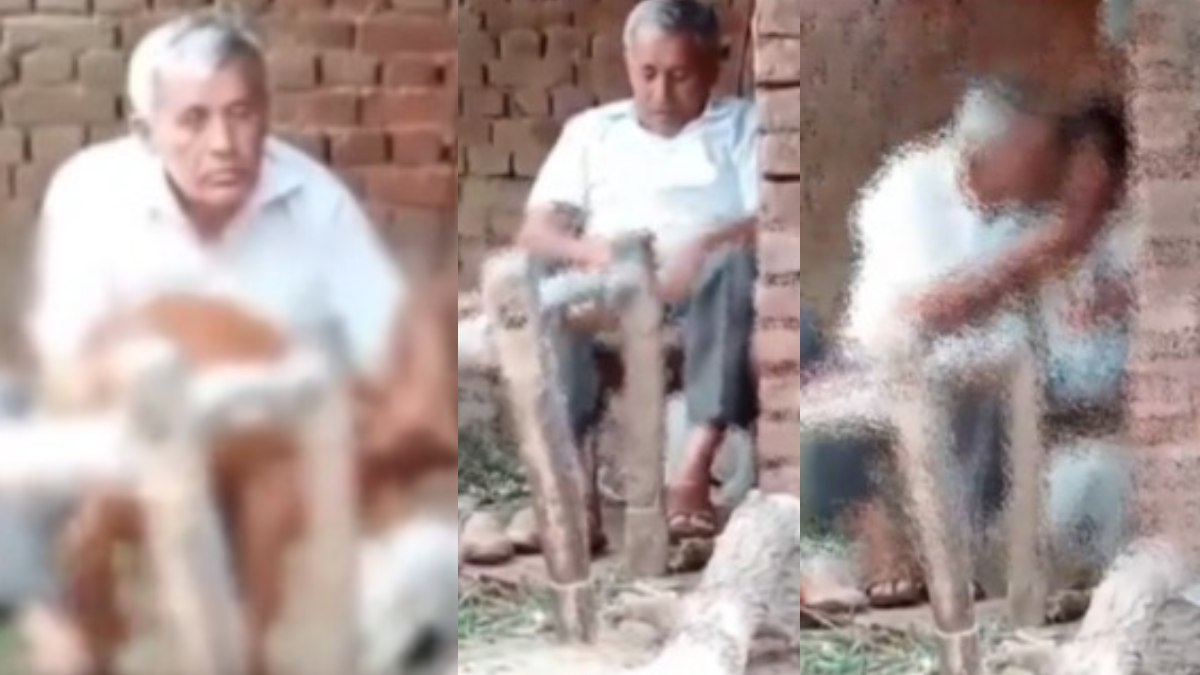 मासूम बच्ची से कराया Masturbation, फिर बकरी के साथ किया Unnatural Sex, अश्लील Video वायरल होने के बाद अधिकारी गिरफ्तार