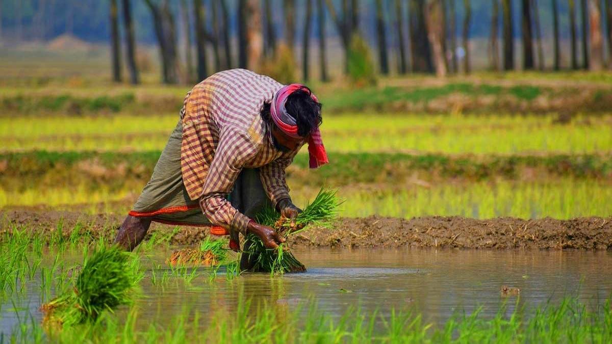 अब हर जिले में होगी ‘किसानों की बात’…केंद्र सरकार ने शुरू की एक अंगूठी पहल…