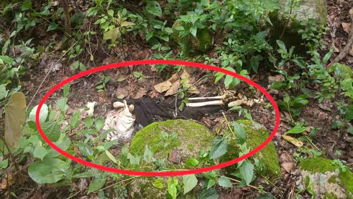 CG CRIME NEWS : 40 दिन से लापता थे युवक-युवती, जंगल में मिला कंकाल, जांच में जुटी पुलिस