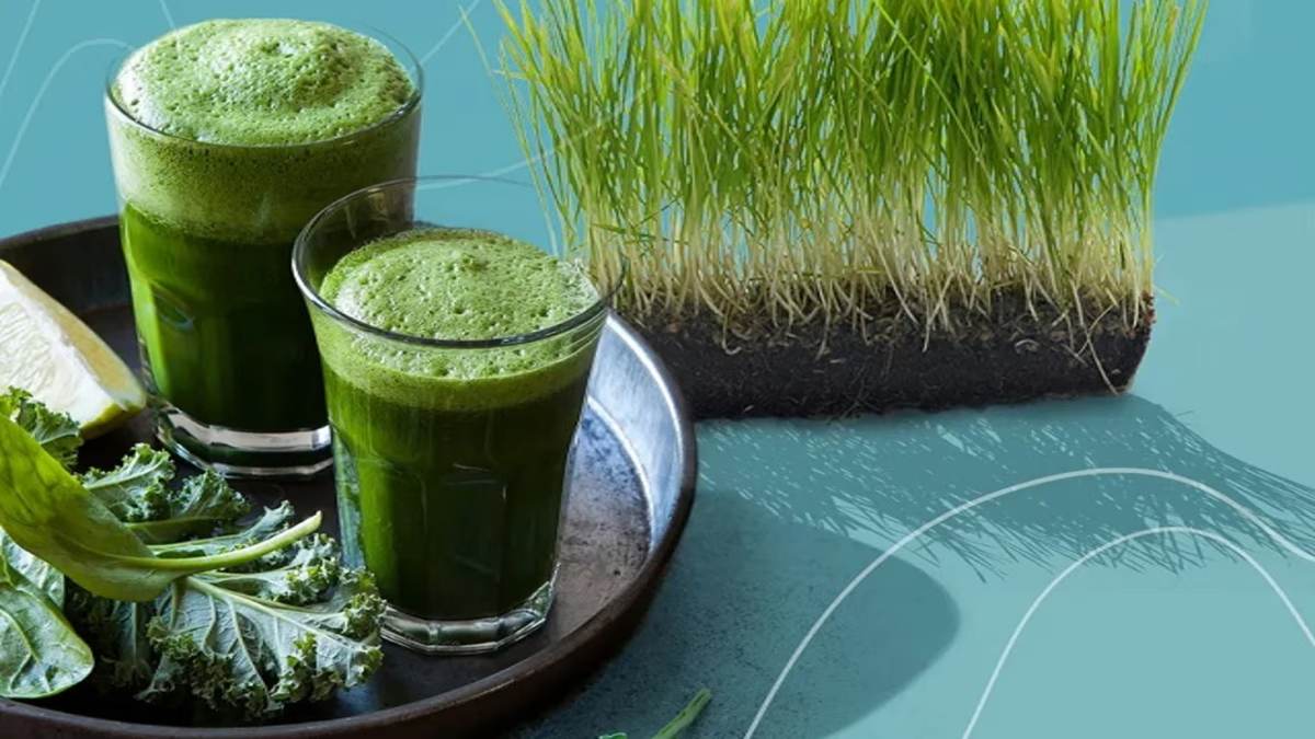 Benifits Of Doob Juice : अनगिनत बीमारियों का रामबाण इलाज है दूब का जूस, कई रिसर्च में बताए गए है इसके फायदे…