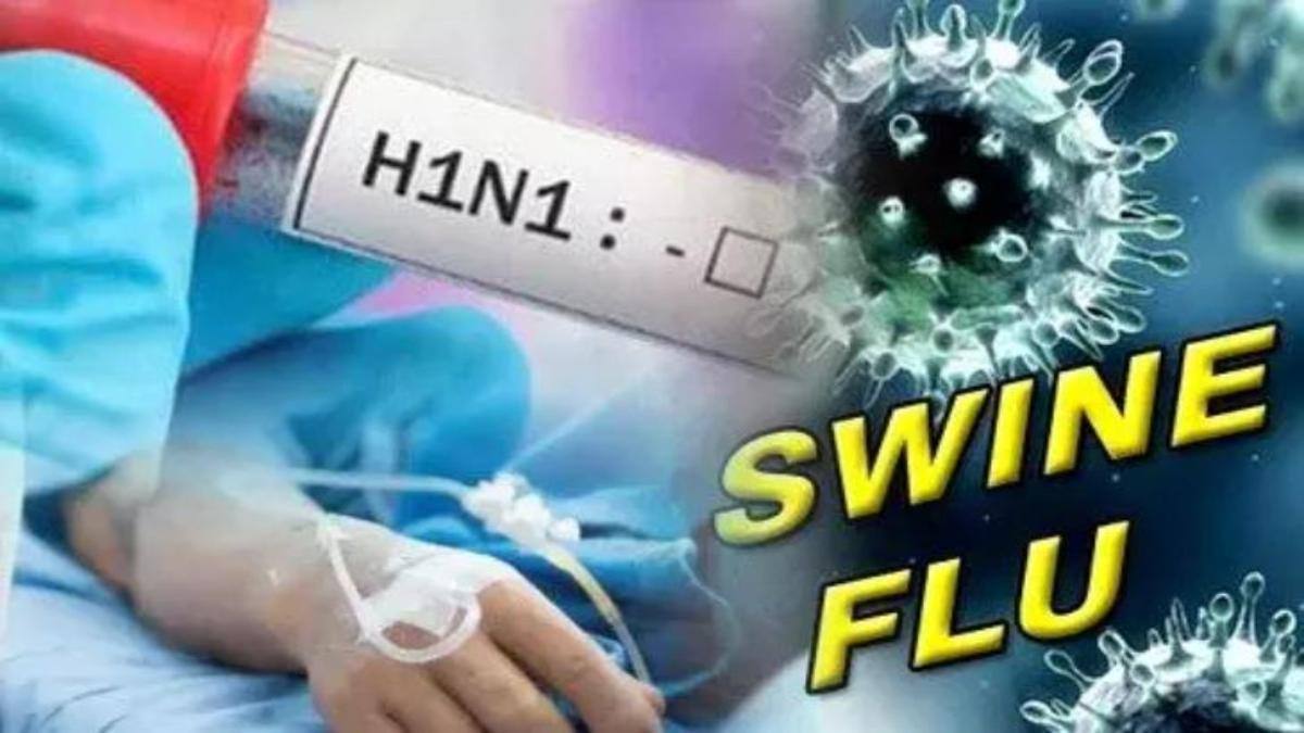 Kanpur News : स्वाइन फ्लू से बुजुर्ग महिला की मौत, एक और संक्रमित, स्वास्थ्य विभाग में मचा हड़कंप