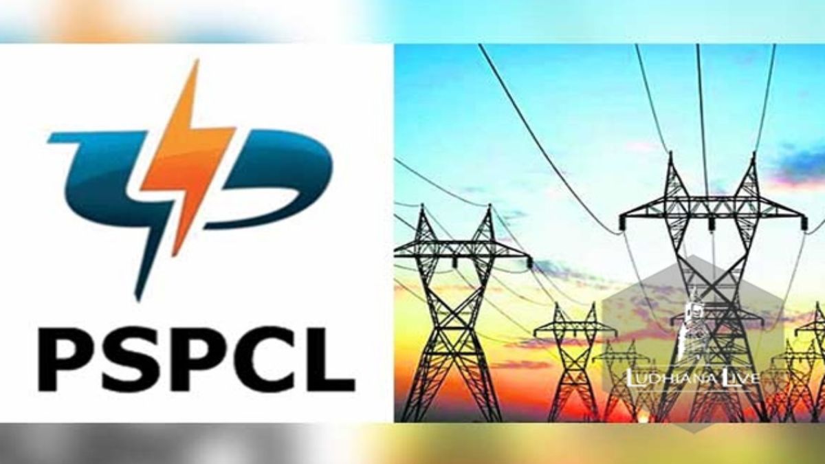 Punjab News: PSPCL ने बिजली चोरी के 2,075 मामलों का किया खुलासा, 4.64 करोड़ रुपये का लगाया जुर्माना