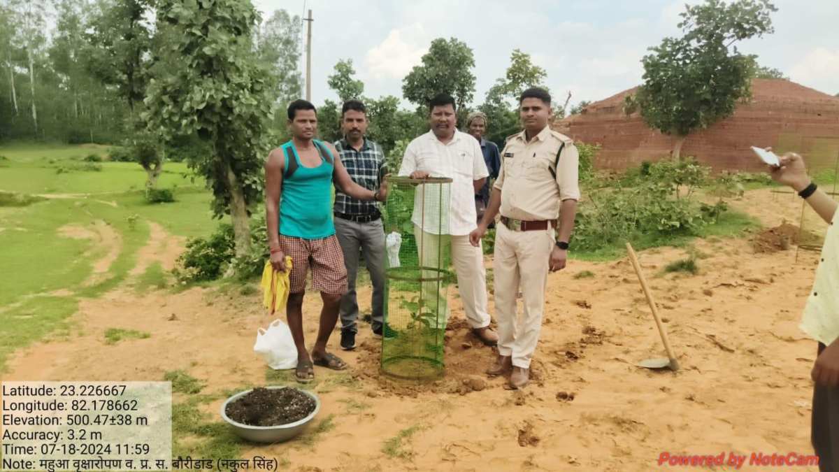 मनेंद्रगढ़ वनमंडल की अनूठी पहल : महुआ बचाओ अभियान के तहत् छत्तीसगढ़ में पहली बार बड़े स्तर पर हो रहा संरक्षण