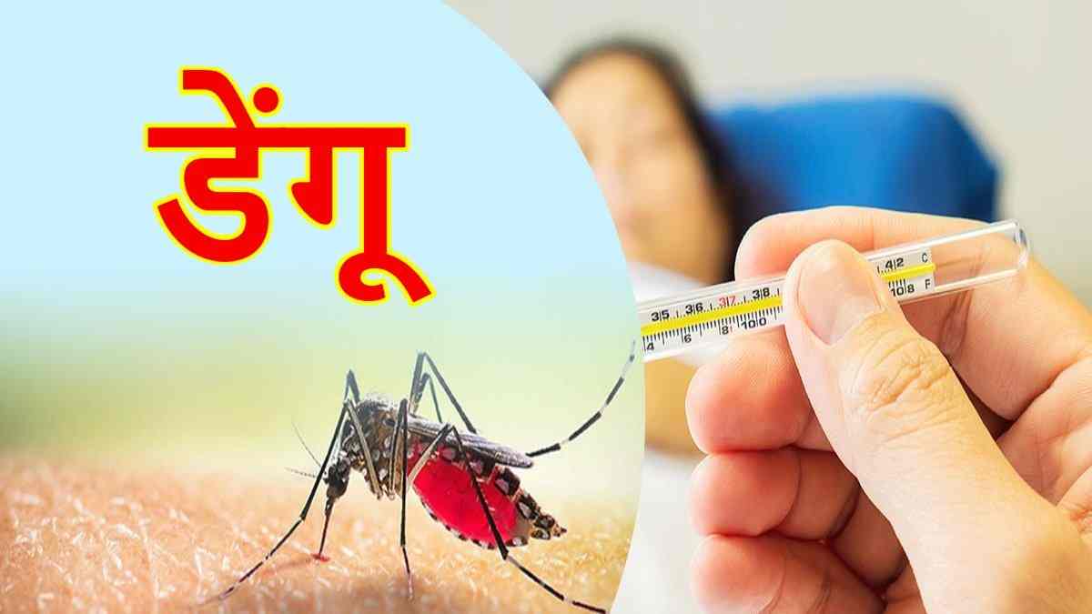 भोपाल में डेंगू का कहर: मरीजों का आंकड़ा पहुंचा 170, अगस्त में 60 नए मामले आए सामने