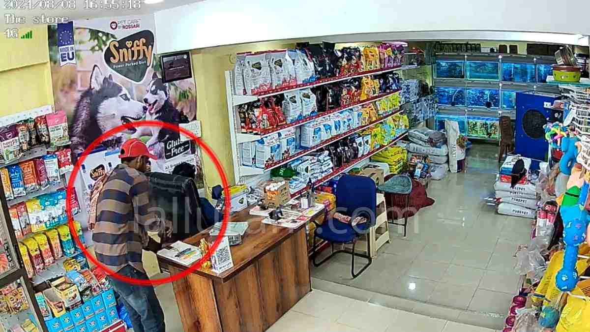 रील्स देखने में मशगूल था दुकानदार, चोर ने गल्ले से उड़ा लिया पर्स, कैमरे में कैद हुई वारदात, देखें Video …