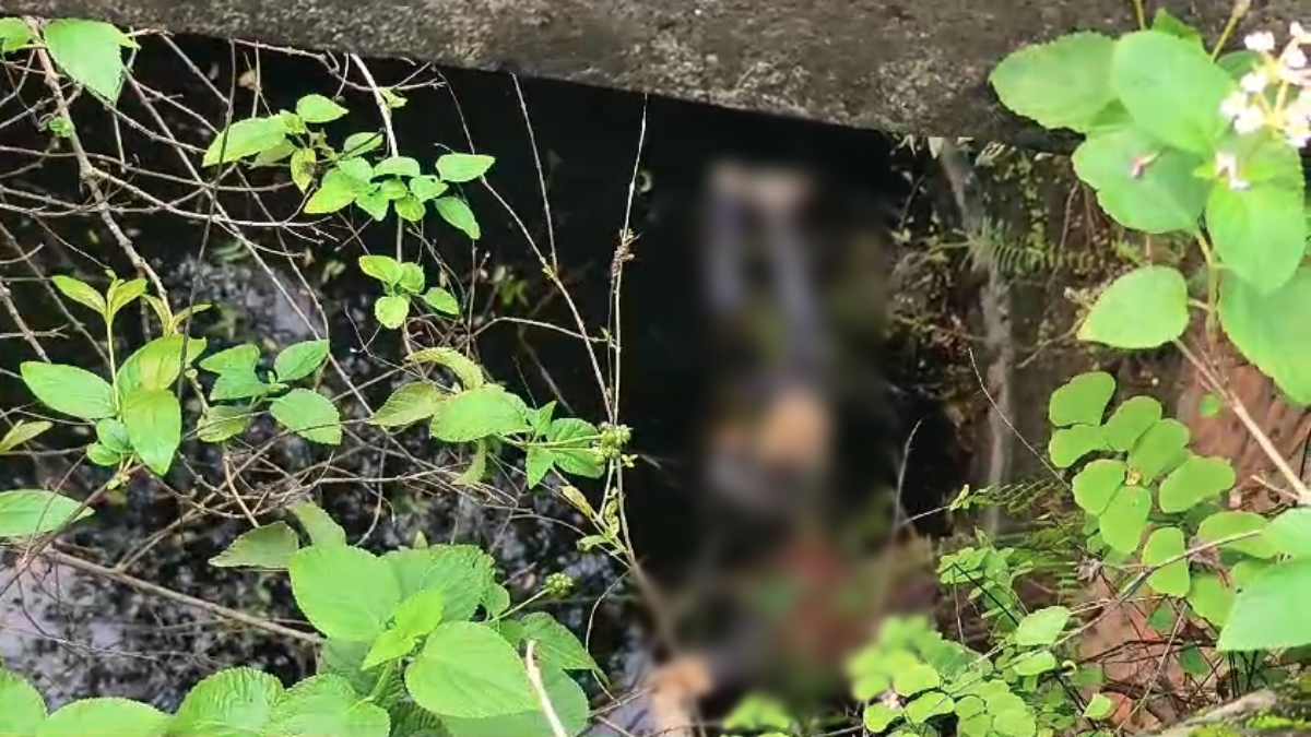 कुएं में मिली लाश की सुलझी गुत्थी: पैसों के लेनदेन को लेकर नाबालिग ने की थी हत्या, फिर पिता के साथ मिलकर शव को लगाया था ठिकाना