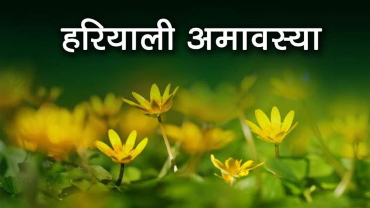 हरेली त्यौहार: सड़क पर पड़ी इन चीजों को नजर अंदाज करना पड़ सकता है भारी…