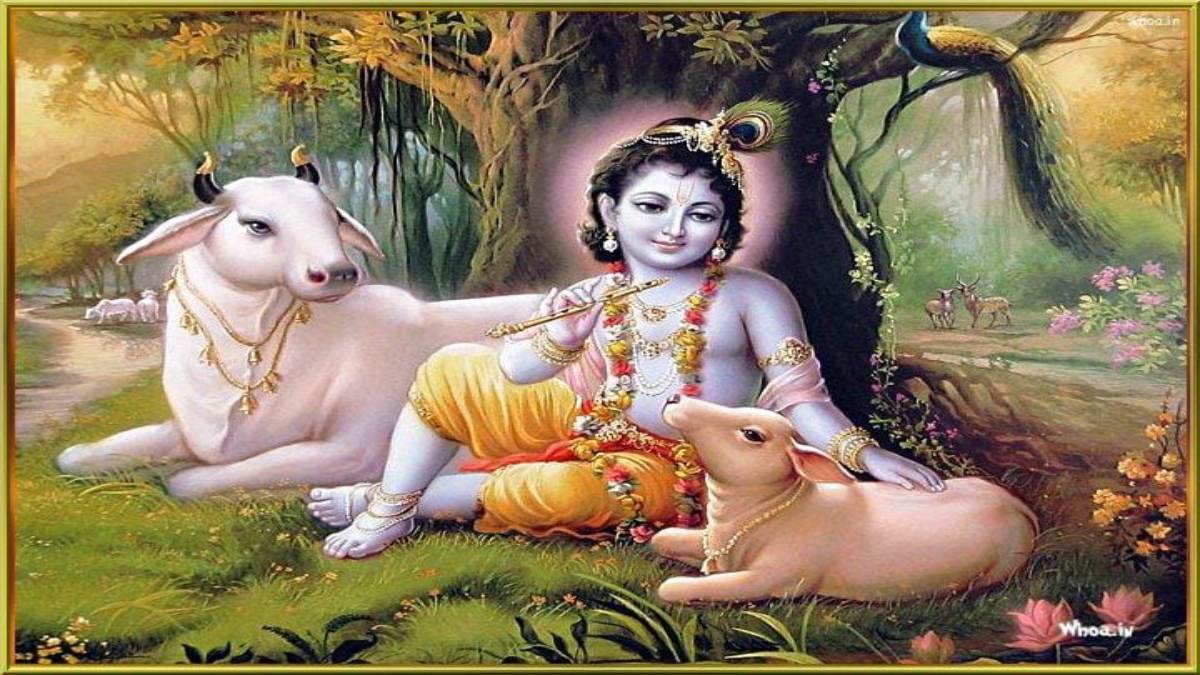 कृष्ण लला को अति प्रिय है मुरली, यहां जाने मुरली के उपाय जिससे घर और कार्यस्थल पर आएगी सुख-समृद्धि