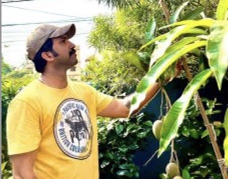 ओडिशा : एक व्यक्ति ने संबलपुर में अपने घर पर 400 पौधों से बनाया ‘मिनी-फॉरेस्ट’