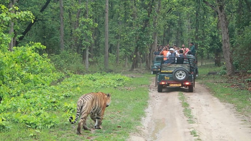 Rajasthan News: शीघ्र पूर्ण होंगे प्रदेश के तीनों बायोलॉजिकल पार्क