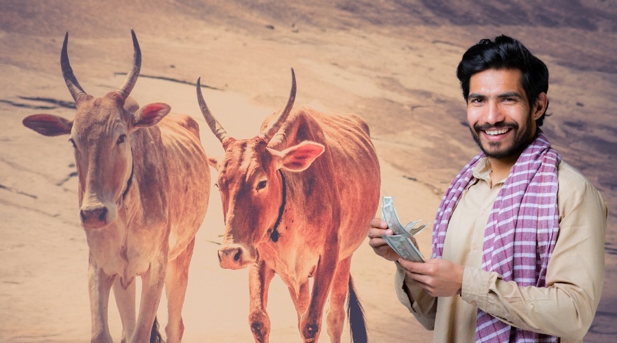Rajasthan News: अब सहकारी गोपाल क्रेडिट कार्ड योजना पोर्टल से ऑनलाइन लोन ले सकते हैं गोपालक किसान