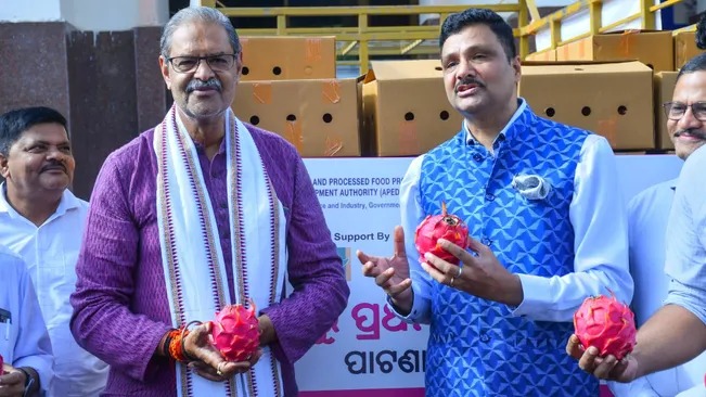 ओडिशा ने दुबई को निर्यात किया ड्रैगन फ्रूट, व्यापार में नई छलांग