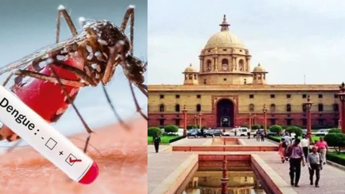 MP में डेंगू का डंकः होईकोर्ट ने सरकार और भोपाल-जबलपुर नगर निगम को जारी किया नोटिस, 10 दिनों के भीतर मांगा जवाब