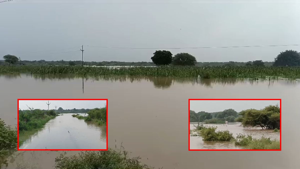 भिंड में बाढ़ ने मचाई तबाही: बारिश से उफान पर नदियां, कई गांव डूबे, संपर्क टूटा, बिजली सप्लाई ठप