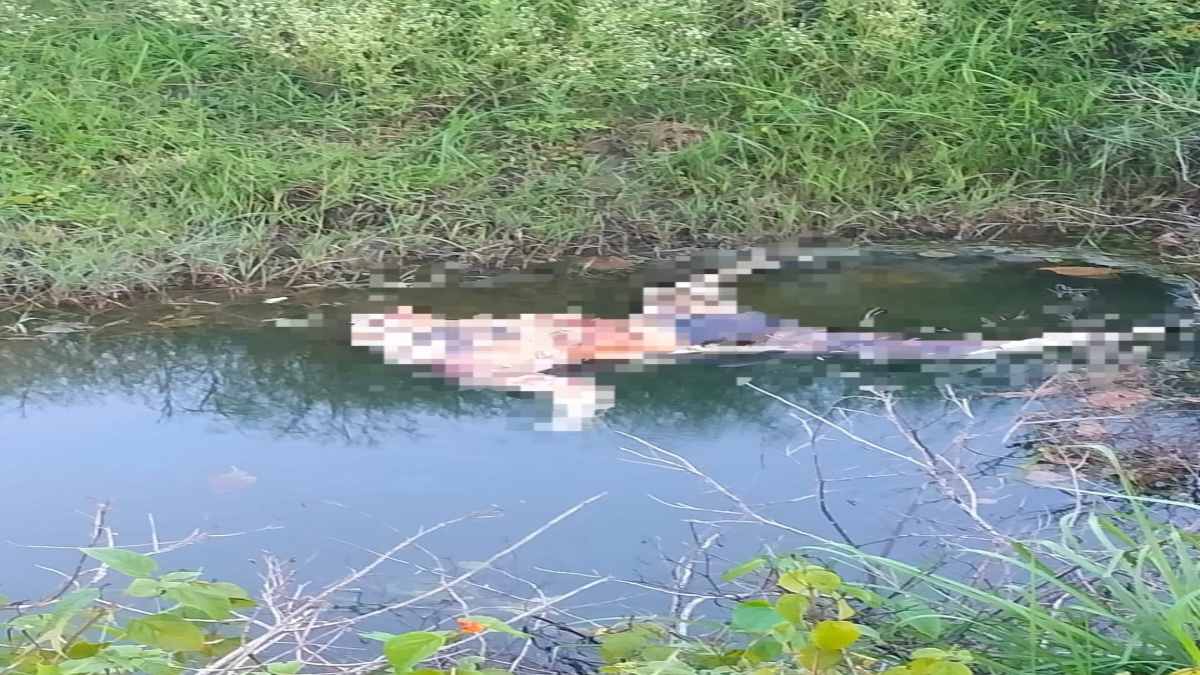 सिर कटी लाश : जंगल में मिले शव की खोपड़ी और हाथ पैर भी थे गायब, पुलिस के उड़े होश