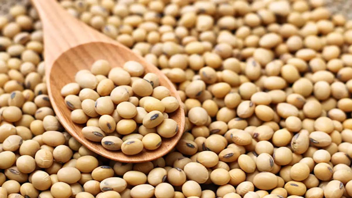 Good news for farmers: 13.68 मीट्रिक टन सोयाबीन एमएसपी पर खरीदी का लक्ष्य