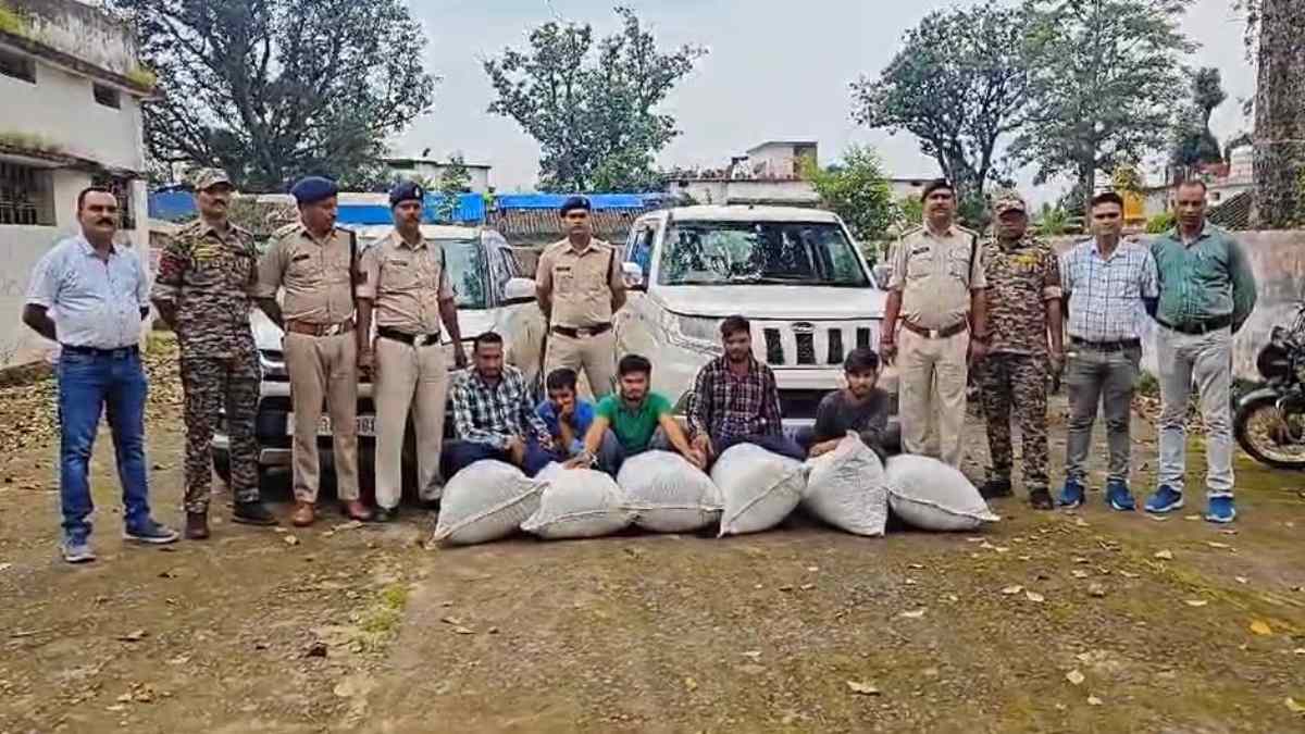 CG NEWS: नशे के खिलाफ पुलिस की बड़ी कार्रवाई, 5 गांजा तस्करों 53 लाख का समान जब्त
