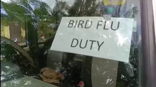 बर्ड फ्लू की आशंका : कल ओडिशा का दौरा करेगी केंद्रीय टीम