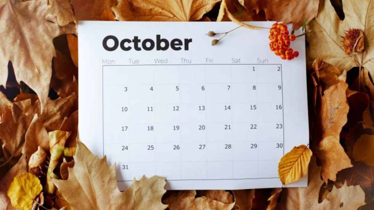 Holiday in October 2024: अक्टूबर में इतने दिन बंद रहेंगे स्कूल-कॉलेज, सरकारी दफ्तर और बैंक, जानें कब-कब रहेगी छुट्टी