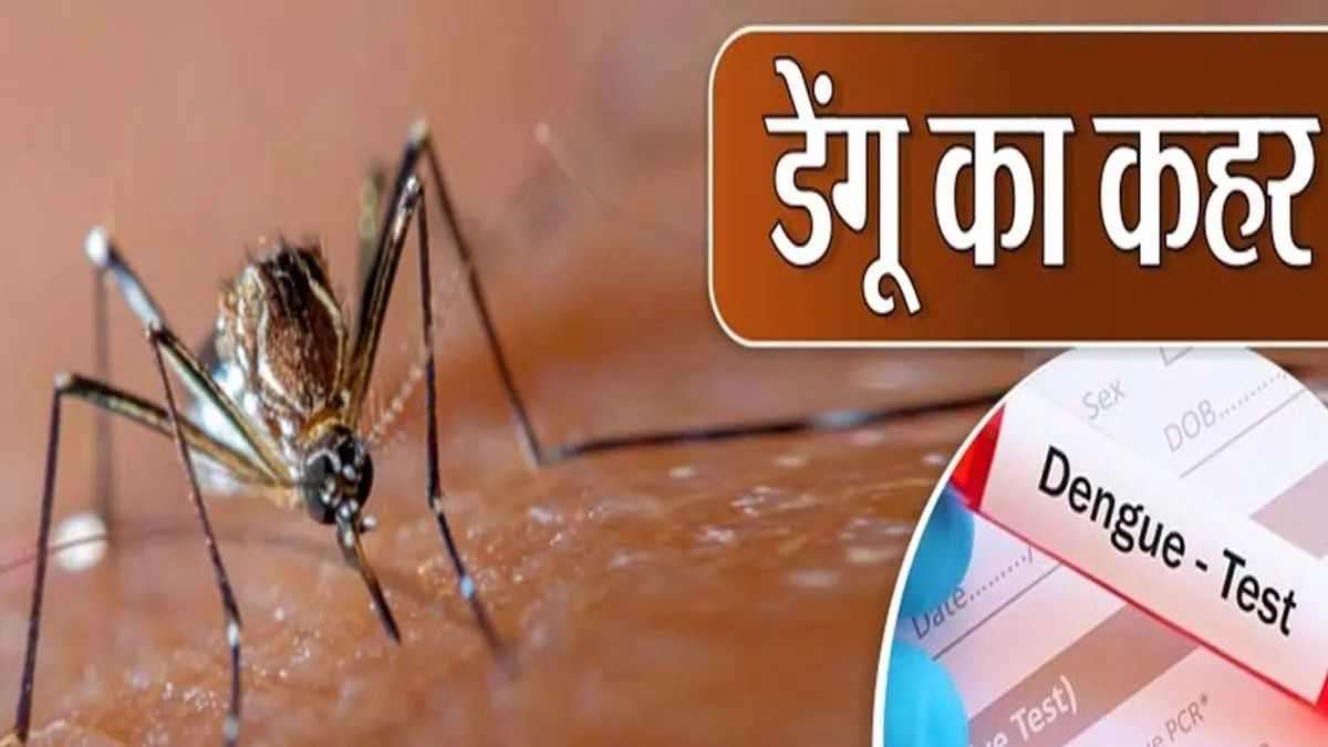ग्वालियर में डेंगू का कहर जारी: कई सालों का टूटा रिकॉर्ड, 24 घंटों में सामने आए इतने मरीज
