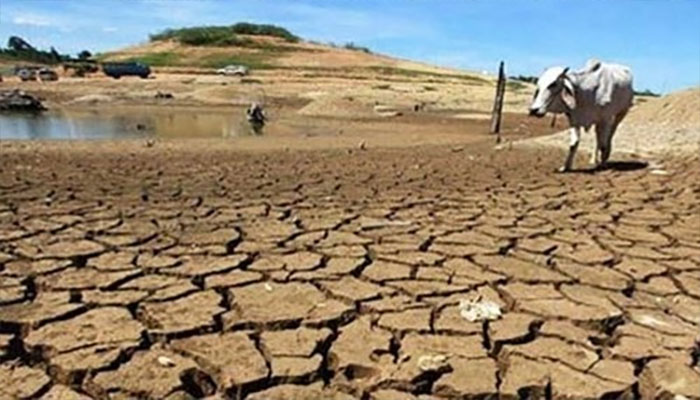 पंजाब में जल संकट : नई कृषि नीति में सरकार की सिफारिश, जाने क्या कहा