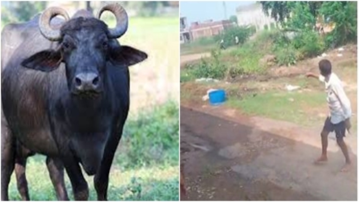 भैंस बांधने को लेकर खूनी संघर्ष: एक पक्ष ने दूसरे पर बरसाई दनादन गोलियां, दो गंभीर घायल 