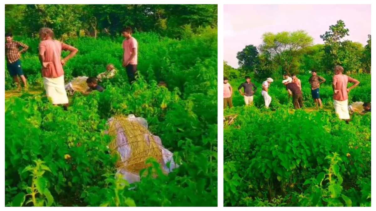 ‘साथ जिएंगे, साथ मरेंगे…’, पति की मौत के कुछ मिनट बाद पत्नी ने तोड़ा दम, एक ही चिता पर हुआ दंपति का अंतिम संस्कार