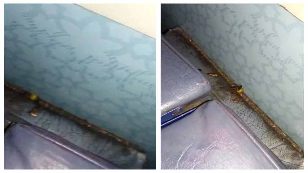 Viral Video: अमरकंटक एक्सप्रेस की सीट के नीचे कॉकरोच का आशियाना!, फिर रेलवे की साफ-सफाई पर खड़े हुए सवाल