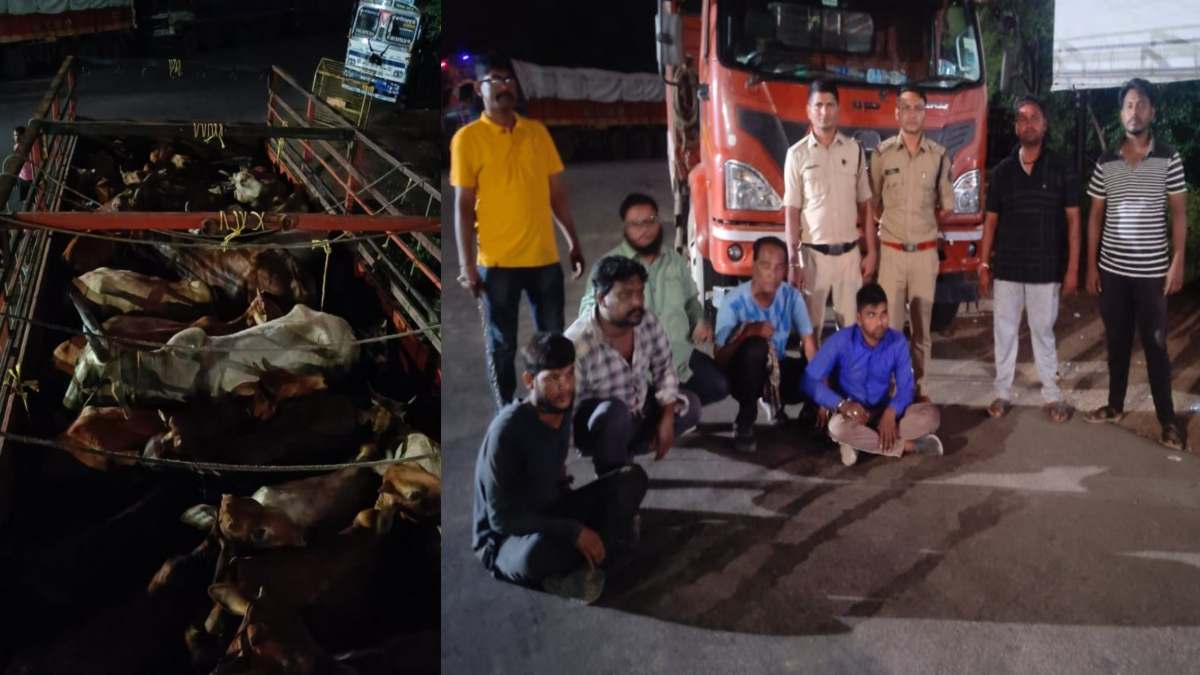 अंतरराज्यीय मवेशी तस्कर गिरोह का भंडाफोड़, पुलिस ने 35 गौवंश के साथ 5 तस्करों को किया गिरफ्तार