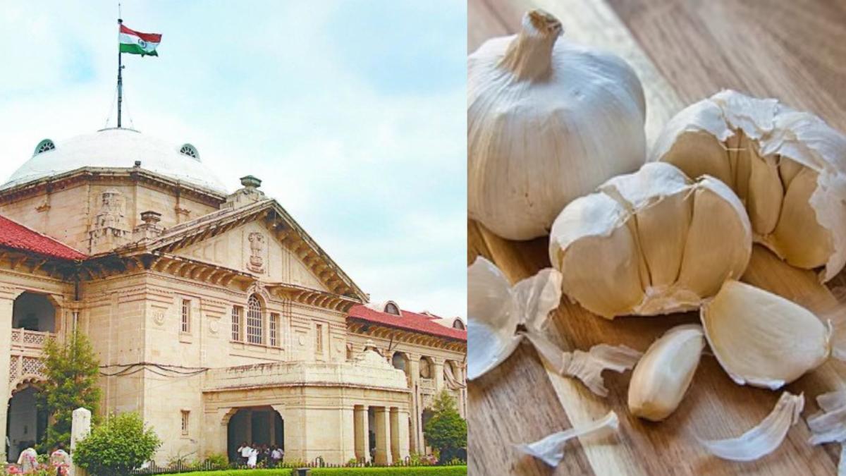 कोर्ट में लहसुन की पेशी ! Chinese Garlic ने बढ़ाई टेंशन, अदालत में किया गया पेश, जांच के लिए न्यायालय ने फूड सेफ्टी डिपार्ट्मेंट को किया तलब