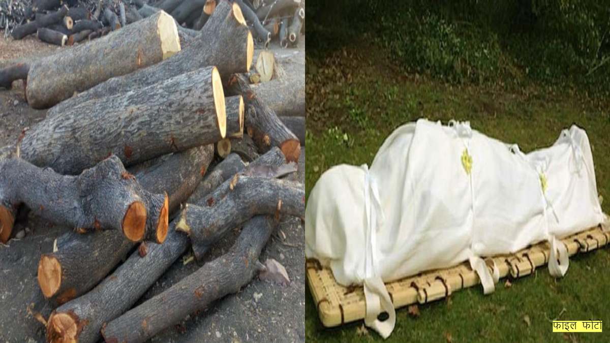 ‘योगीराज’ में गरीबों पर अत्याचार… मुर्दा जलाने के लिए  लकड़ी काटने पर दर्ज किया केस, ‘बाबा’ का ये कैसा सिस्टम है ?