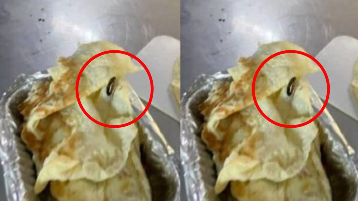 इसी बात के पैसे लेते हो क्या ? Vande Bharat में यात्री ने मंगाया ऑमलेट, अंदर निकला कॉकरोच, शिकायत करने गया लेकिन वापस नहीं लौटा पैसेंजर!