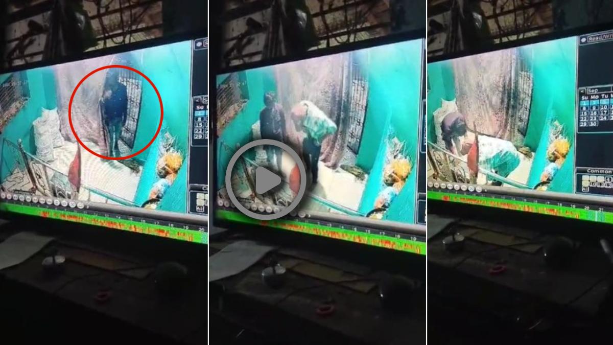 पहले प्रणाम फिर पाप : प्रसिद्ध घटारानी के मां शारदा मंदिर में चोरी, मूर्ति को प्रणाम कर दानपेटी ले उड़े चोर, वारदात CCTV कैमरे में कैद