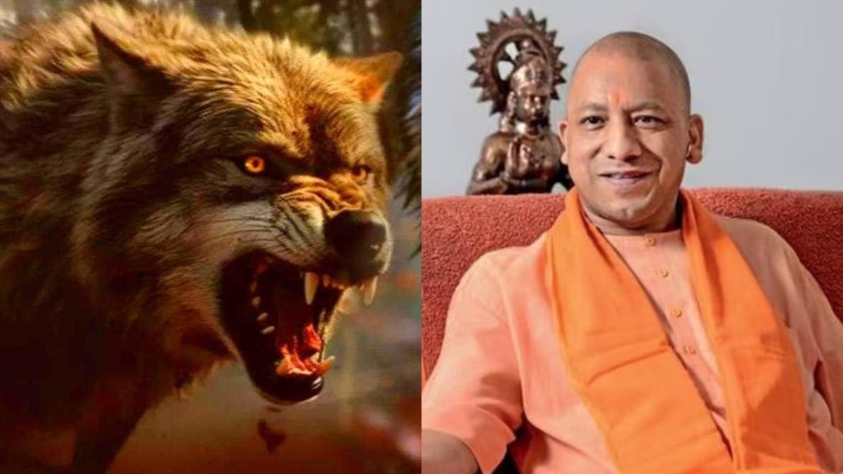 आदमखोर का अंत कब? भेड़िए प्रभावित गांवों का दौरा करेंगे CM योगी, वन विभाग के अधिकारियों की लेंगे मीटिंग