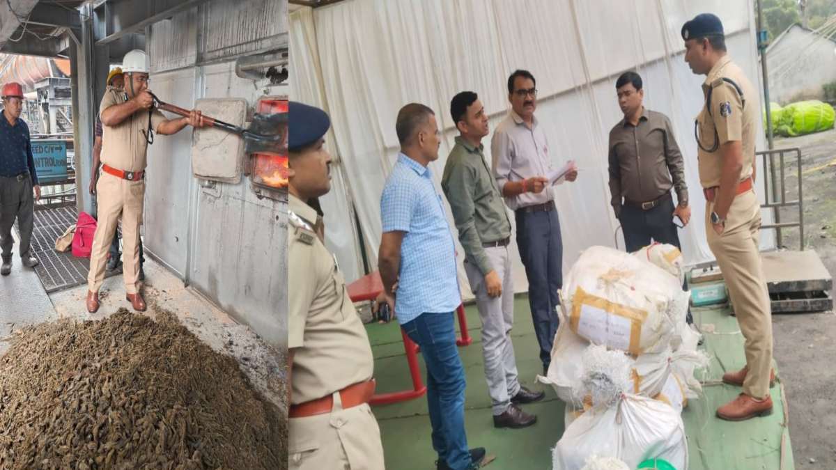 करोड़ों के गांजे से दहकी पॉवर प्लांट की भट्टी, रायपुर रेंज पुलिस ने 443 प्रकरणों में जब्त किया था 23 हजार किलो से अधिक का गांजा