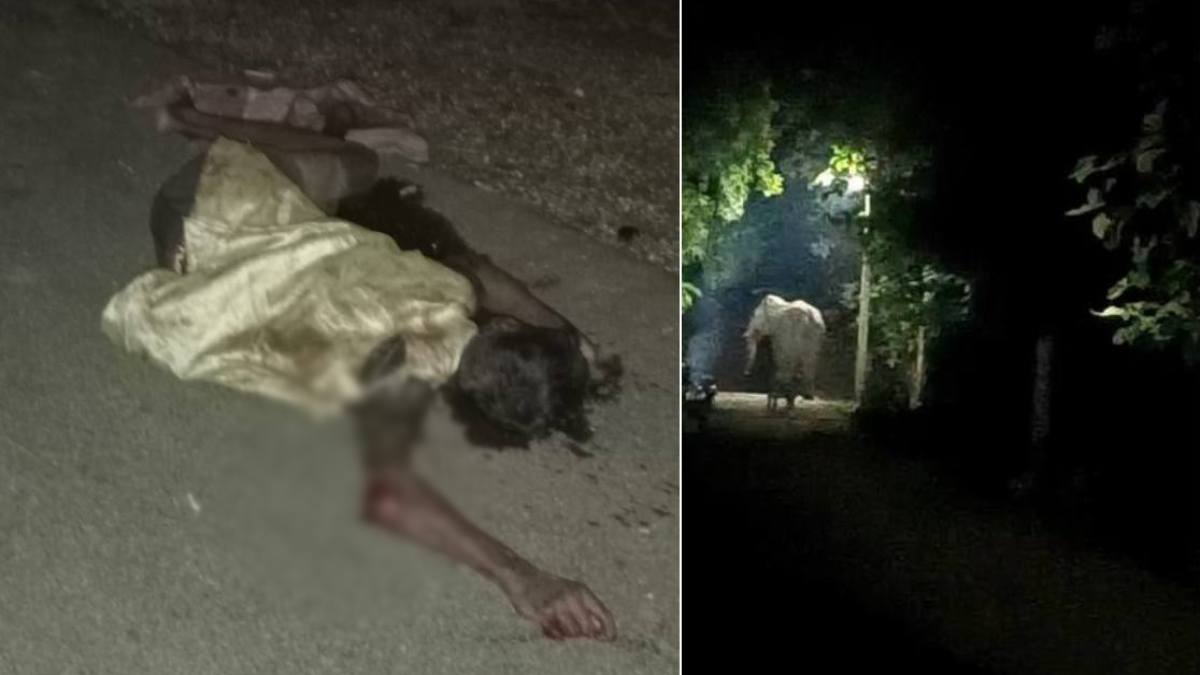 CG Elephant Attack: हाथी के हमले से एक ग्रामीण की मौत, क्षेत्र में दहशत का माहौल