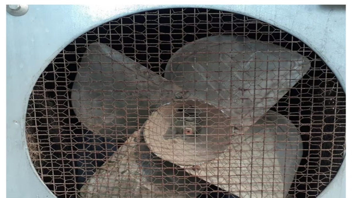 कूलर में छिपा बैठा था इनामी बदमाश, STF के उड़े होश, इस मामले में था फरार 