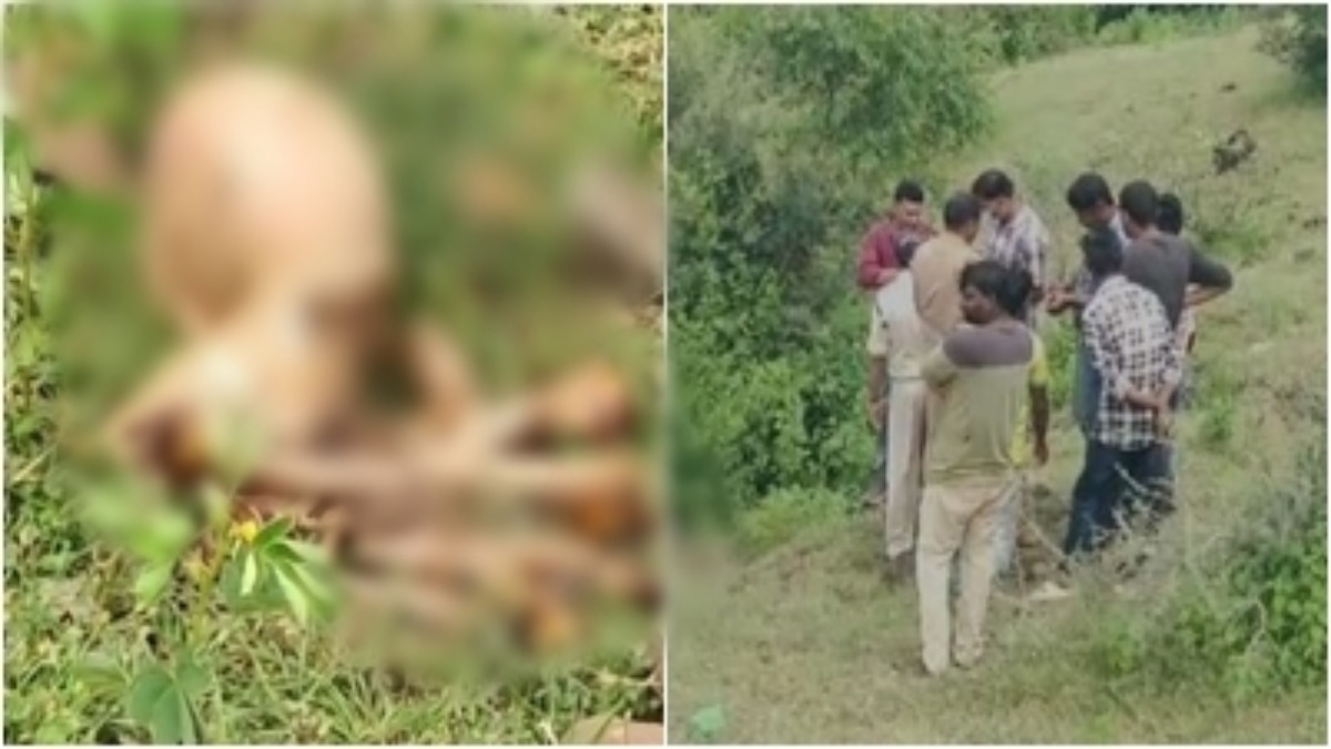 पहाड़ी में नर कंकाल मिलने से फैली सनसनी, फॉरेंसिक टीम के साथ मौके पर पहुंची पुलिस