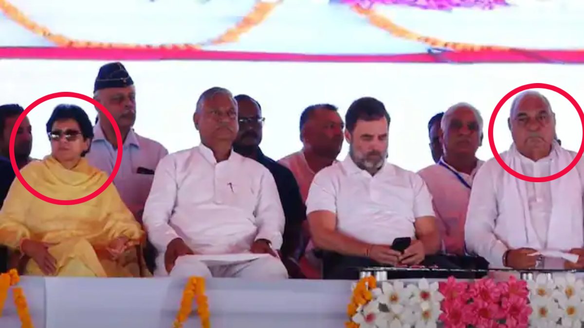 नाराजगी के बीच पहली बार एक मंच पर साथ दिखे भूपेंद्र सिंह हुड्डा-कुमारी सैलजा, फिर भी दोनों के बीच रही 3 से 4 फीट की दूरी- HARYANA ASSEMBLY ELECTION 2024