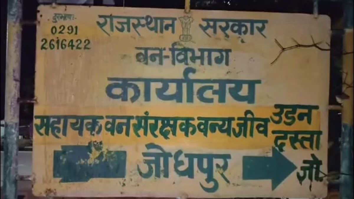 Rajasthan News: WCCB की टीम ने जोधपुर में अवैध हाथी दांत से बनी हुई सामग्री की जब्त