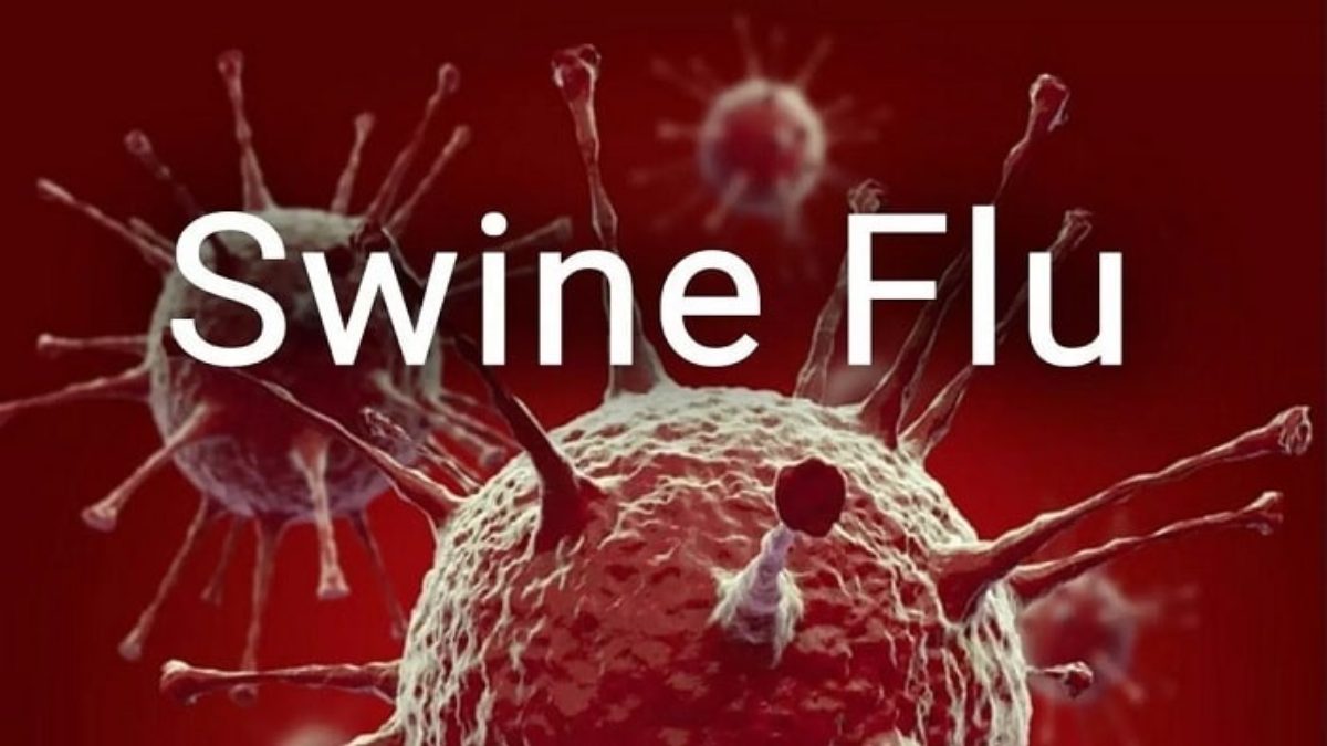 Swine Flu in CG : छत्तीसगढ़ में स्वाइन फ्लू का प्रकोप जारी, 14 नए मरीज मिले, अब तक 17 लोगों की मौत