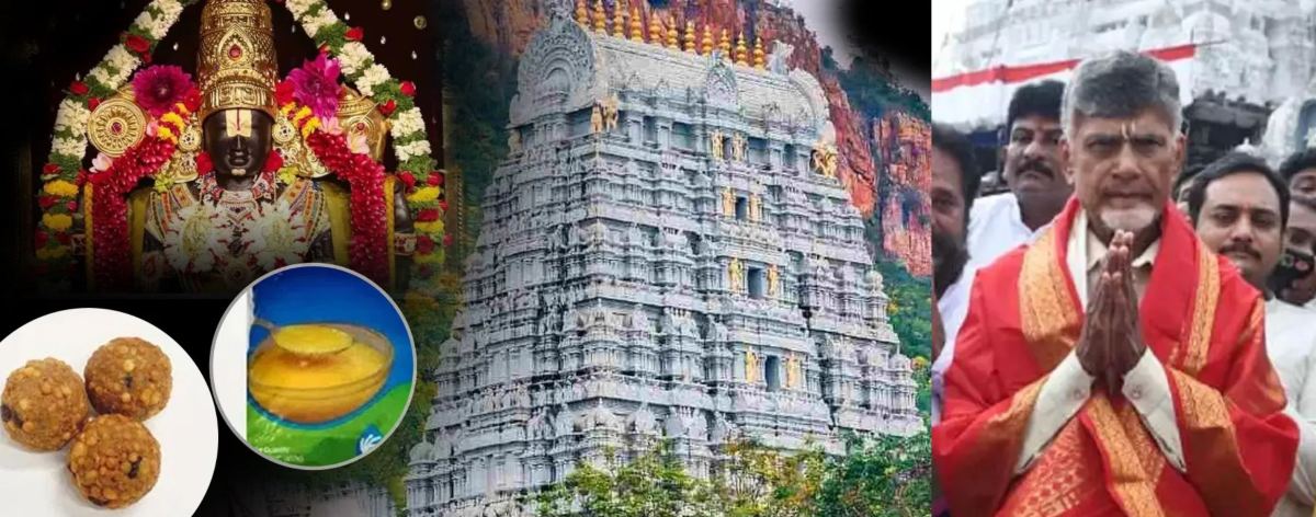 Tirupati Balaji Temple: ‘तिरुपति बालाजी मंदिर के ‘लड्डू प्रसादम’ में इस्तेमाल होती थी जानवरों की चर्बी…’, CM चंद्रबाबू नायडू के सनसनीखेज दावे से मचा कोहराम
