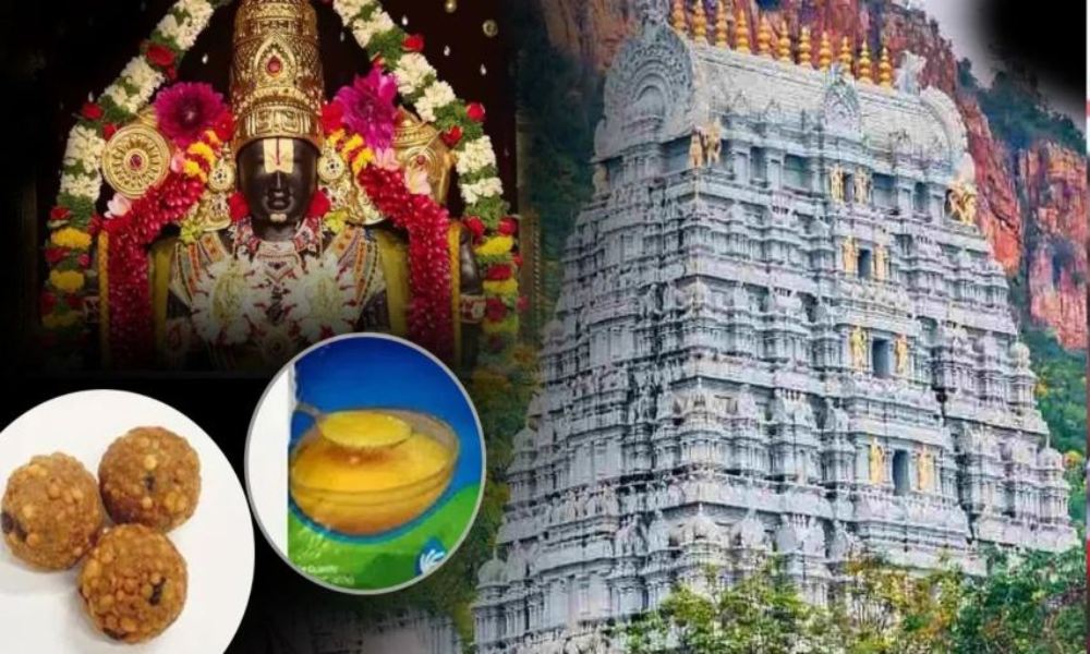 हिंदू आस्था और भगवान के साथ विश्वासघात: तिरुपति मंदिर के प्रसाद में मिली बीफ की चर्बी और फिश ऑयल, नेशनल डेयरी डेवलपमेंट बोर्ड ने किया कंफर्म- Tirupati Temple Laddu